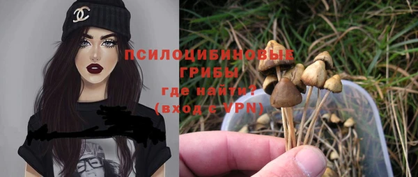 ешки Аркадак