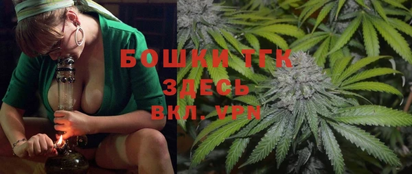 ешки Аркадак