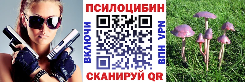 Галлюциногенные грибы GOLDEN TEACHER  Волгоград 